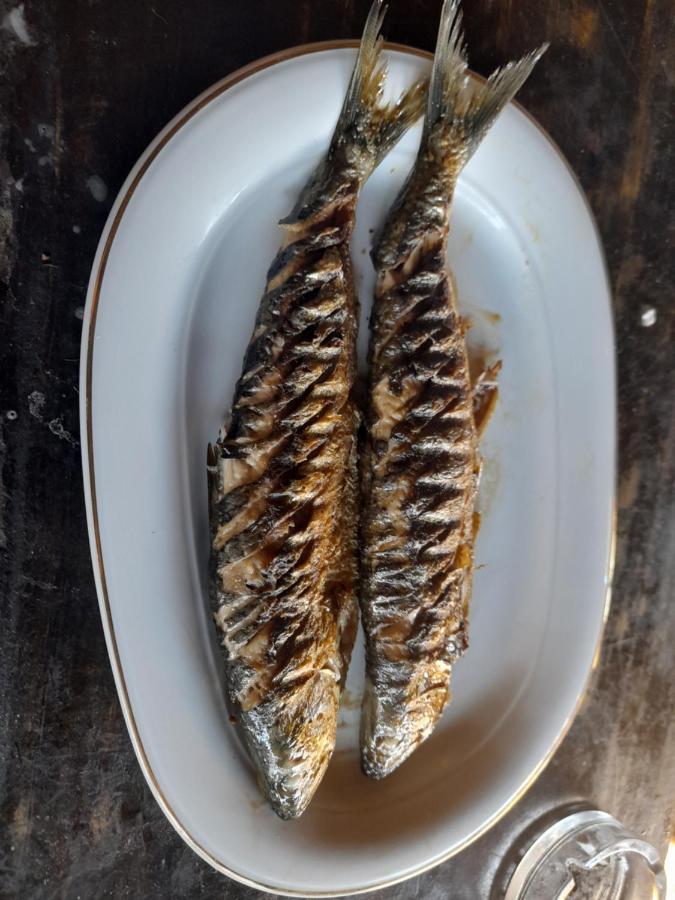 مبيت وإفطار Slava Rusa Monte Grego المظهر الخارجي الصورة